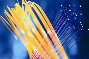 光纤光缆主流品牌概览与通信技术转让的市场机遇